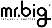 Mr. Big Pillow logo