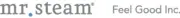 MrSteam logo
