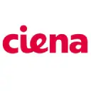 Multinational Network Technology Leader logo