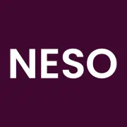 National Energy System Operator (neso)