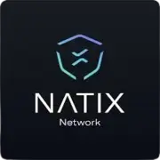 NATIX Network logo