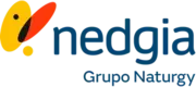 Nedgia, grupo Naturgy
