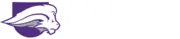 Nelson University logo