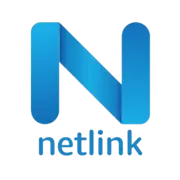 Netlink Software Group America