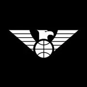 Newcastle Eagles logo