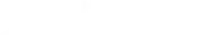 Next Level Advisors logo