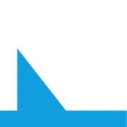 Next-Level Income logo