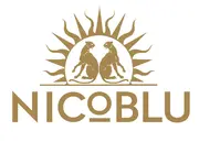 Nicoblu logo