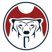 Nishnawbe Aski Nation