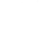 Northern Lights Newcastle logo