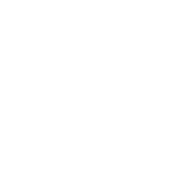 Northern Monk logo