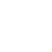 NSG Limited logo