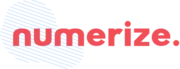 Numerize logo