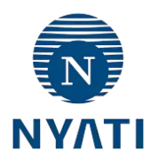 Nyati Group logo
