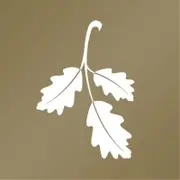 Oakmont Management Group