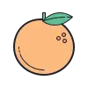 Orange Grove