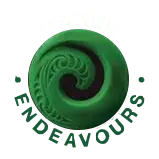 Origin Endeavours logo