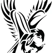Osprey Video logo