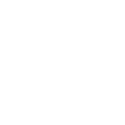 Overland AI logo
