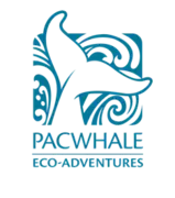 Pacwhale