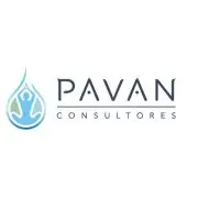 Paván Consultores logo
