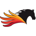 Pegasus Technologies logo