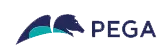 Pegasystems Inc logo