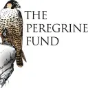 Peregrine Fund logo