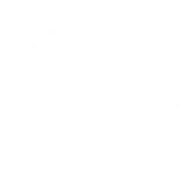 Petra Medical College logo