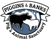 Piggins and Banks logo