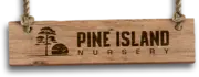 Pine Island Nursery logo