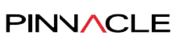 Pinnacle Advertising and Marketing Group logo