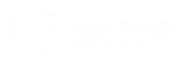 Plaksha logo
