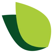 Case Study