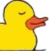Porto Duck Store logo