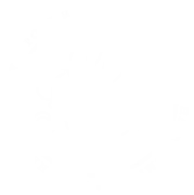 Posh Hair Company logo