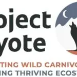 Project Coyote