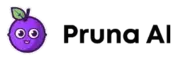 Pruna AI logo