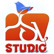 PSV Game Studio logo