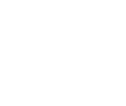 Pulvis logo