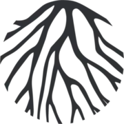 Raíz Hotel Boutique logo