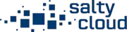 SaltyCloud logo