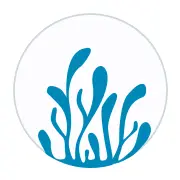 Case Study