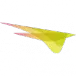 Sedesco logo