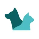 Shelter Animals Count