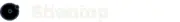 Shenion Capital Advisory GmbH logo