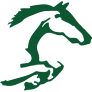 Shongweni High Goal Polocrosse logo