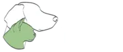 Simply Jaspers logo