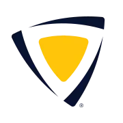SkillsEngine logo