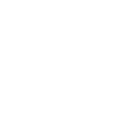Skyler logo